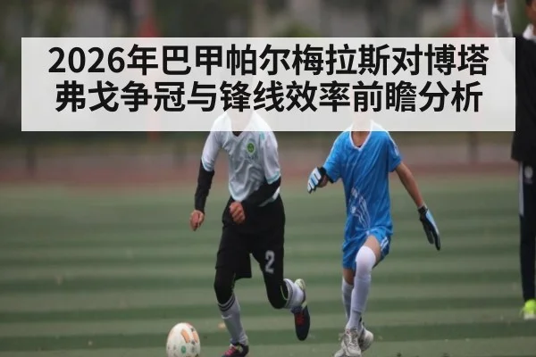 2026年巴甲帕尔梅拉斯对博塔弗戈争冠与锋线效率前瞻分析